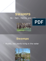 Lala, Sam, Patrick Swamps