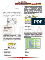 SEMANA 04 - 