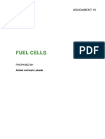 10 - Fuel Cells - Aniket Lukade