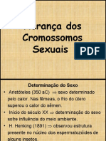 Determinação do sexo e herança dos cromossomos sexuais