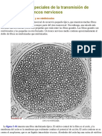 Características Especiales de La Transmisión de Señales en Los Troncos Nerviosos
