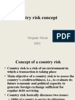 Vienna 2021 Pres 5 Country Risk