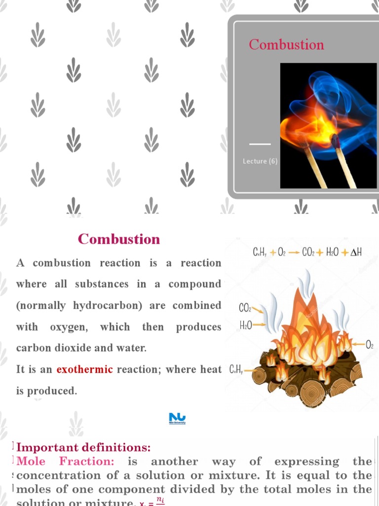 Lec 6 Combustion | PDF | Combustion | Mole (Unit)