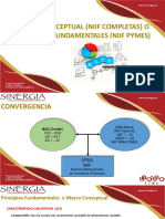 Marco Conceptual o Principios Fundamentales 