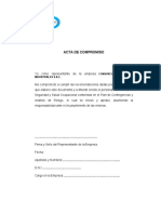 Carta de Compromiso