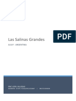 Informe Salinas Grandes