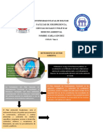 Derecho Ambiental-