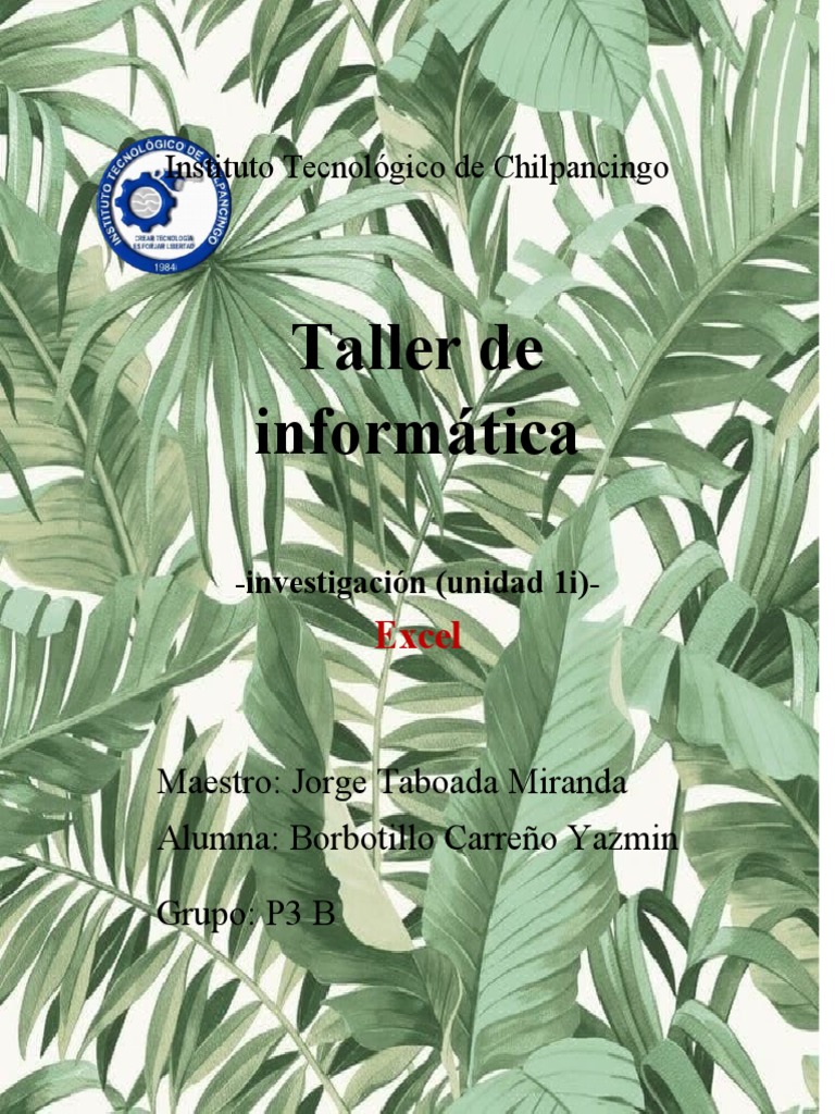 Taller de Informática Excel | PDF | Microsoft Excel | Bases de datos