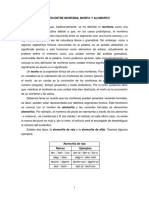 Relación Morfema Morfo Alomorfo