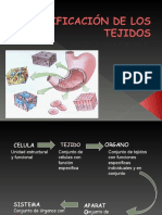 Clasificación de Tejidos