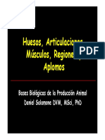 05. Huesos, Articulaciones, Músculos, Regiones y Aplomos (Presentación) Autor Daniel Salamone