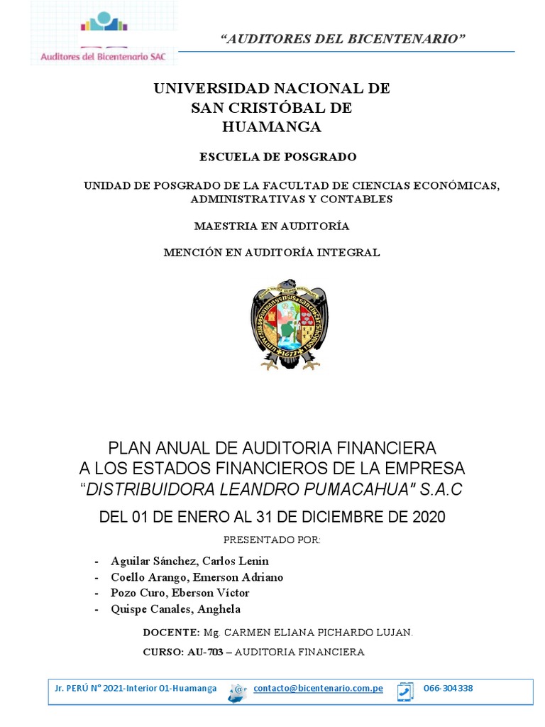 Plan Anual de Auditoria | PDF | Auditoría | Estado financiero