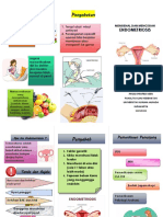 Leaflet Endometriosis