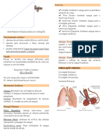 Anatomia e fisiologia do coração