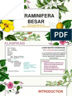 Materi Praktikum - Foraminifera Besar