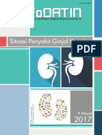 Data_PGK_di_Indonesia_2017