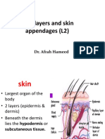 Skin Layers and Appendages (L2