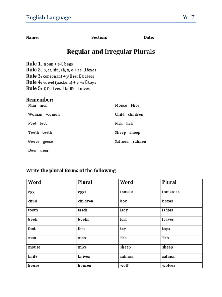 Regular and Irregular Plurals English Language Yr 7 PDF Plural Human Communication