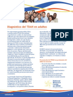 Diagnosis of Adhd in Adults Spanish Final