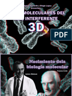 Molecular Bases of The RNA Interference in 3D