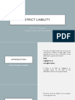 Chapter 5. Strict Liability