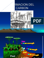 Formacion Del Carbon