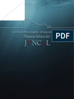 La Flota de Nueva Espana y La Busqueda Del Galeon Nuestra Señora Del Juncal