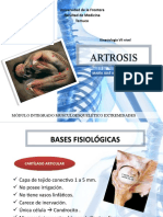 artrosis