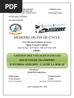 Soutenance Aude Bamouni