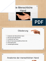 Die Menschliche Hand