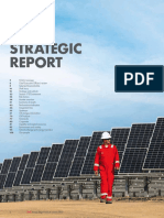 Strategic Report Shell Ar20