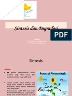 Sintesis Dan Degradasi