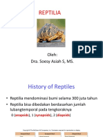 Makalah Class Reptilia