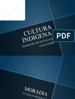 Cultura Índigena