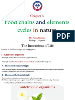 Food chains and nutrient cycles