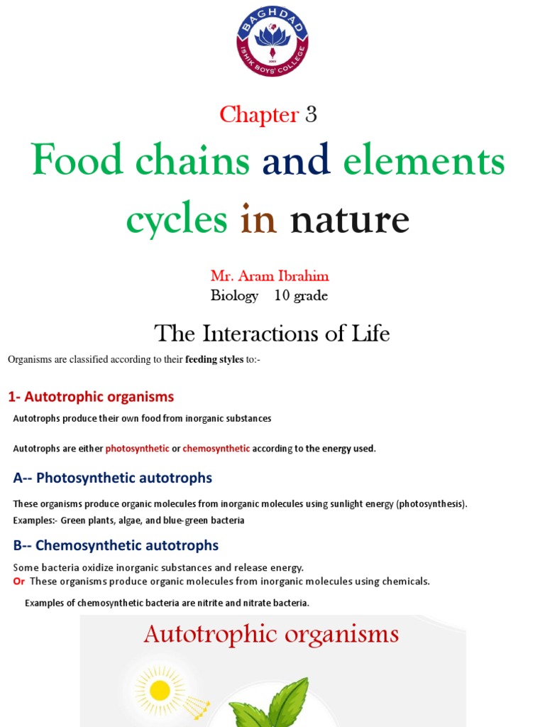 Understanding the Interconnected Relationships in Ecosystems: A ... Biology Diagrams