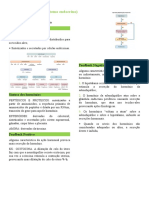 Sistema endocrino: homeostasia e síntese de hormônios