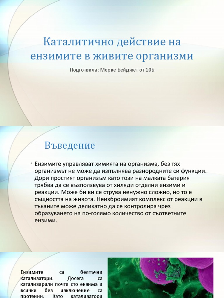 Каталитично действие на ензимите в живите организми | PDF