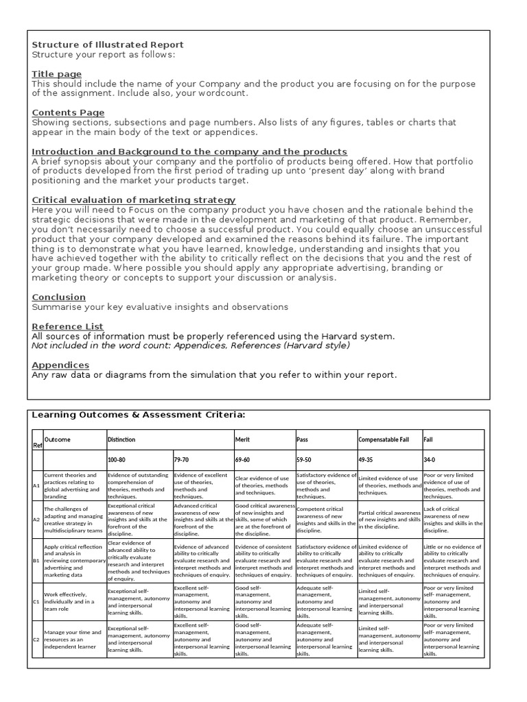 SAMM Assessment Brief | PDF | Brand | Marketing