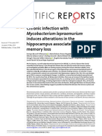 Chronic Infection With Imyco