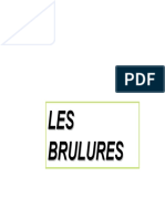 PGS-PCEM2.12_Brûlures