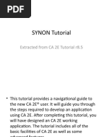 SYNON Tutorial: Extracted From CA 2E Tutorial r8.5