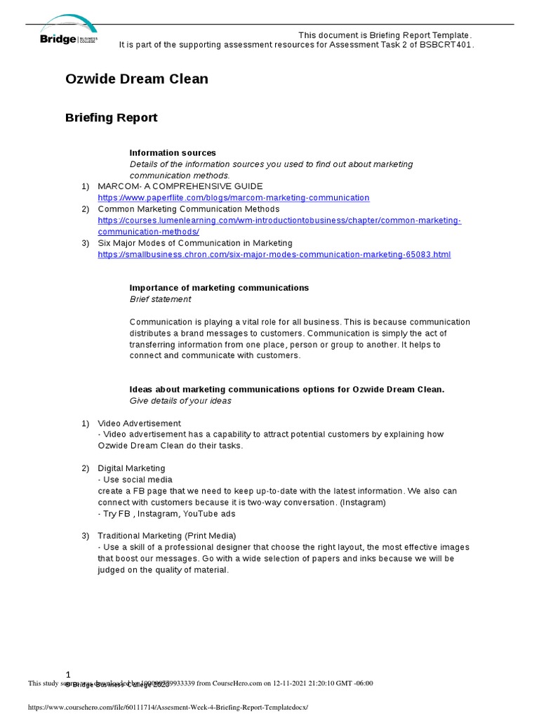 Ozwide Dream Clean: Briefing Report | Download Free PDF | Marketing ...