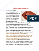 Answers:: 1) Why Does Fasciola Hepatica Produce Cyst?