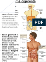 26 - 27 - Apparato Digerente