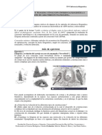 TP5 Filogenia y Evolución - Inferencia Filogenética y Mapeo de Caracteres - Guia de Problemas