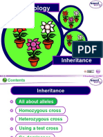 KS4 Inheritance