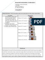 Laporan Praktikum Biokimia Uji Benedict-017629656