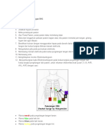 Pemasangan Ekg