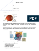 Anatomi, Refleks Cahaya & Fisiologi Neurovisual